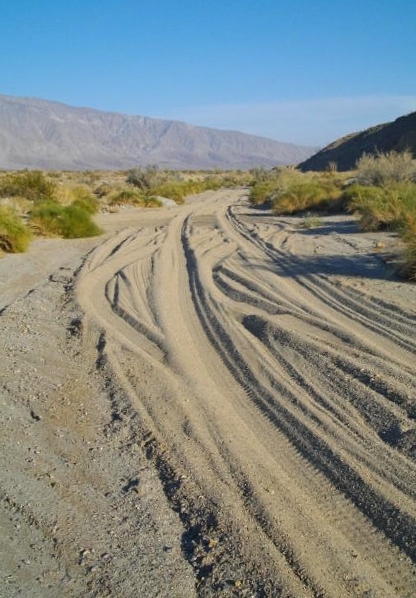 Despite the loose sand and rough ride, lots of 4 wheel drive vehicles explore out here!